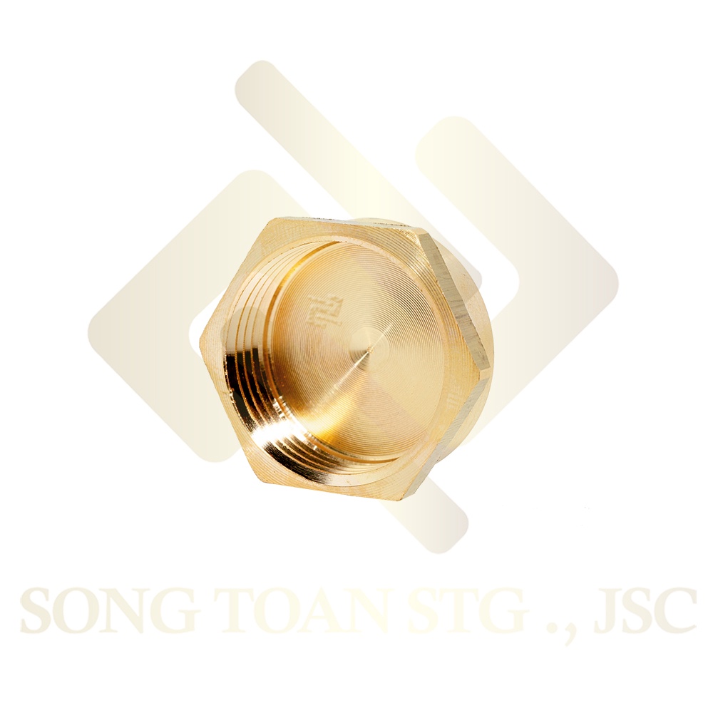 [BỊT REN TRONG] Nút đầu bịt ren trong ngặn chặn dòng chảy &amp; khí nén ren BSP - Bằng đồng (Brass pipe plug cap female)