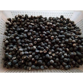 Hạt chuối hột rừng khô 1kg