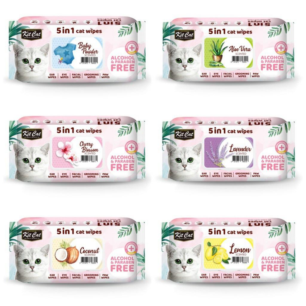 Khăn ướt KitCat kháng khuẩn cho thú cưng (gói 80 tờ)