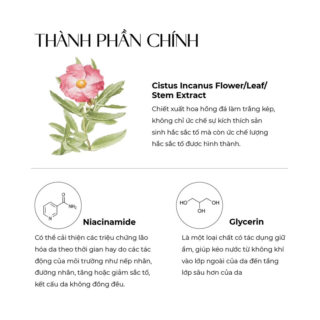 Mặt nạ dưỡng trắng da và ngăn ngừa lão hoá Truesky chiết xuất hoa hồng đá 25g - Integrated Mask