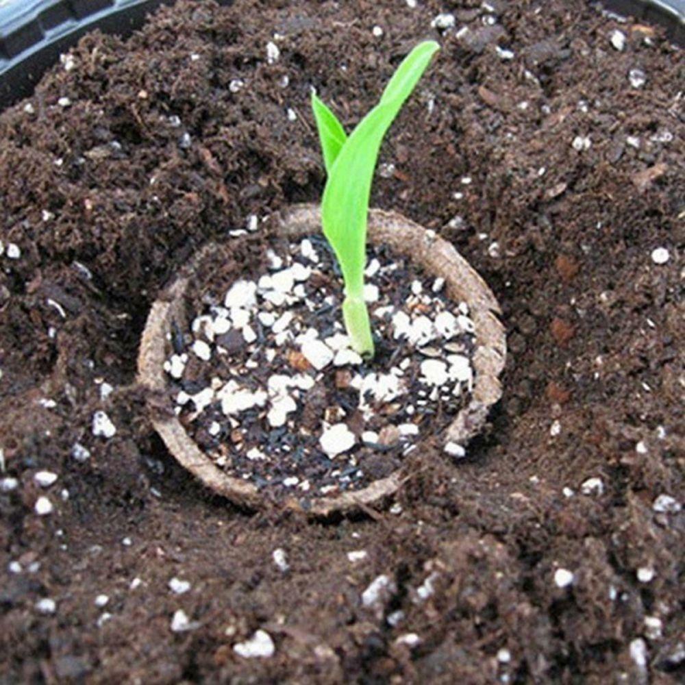 Chậu Trồng Cây Phân Hủy Sinh Học Hình Tròn