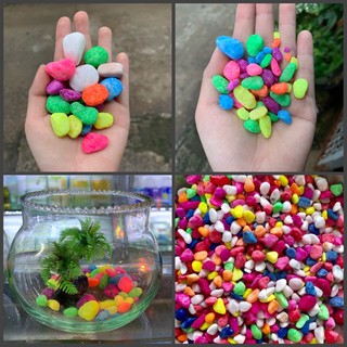  Đá sỏi nhuộm trang trí hồ cá 4 màu   700g    