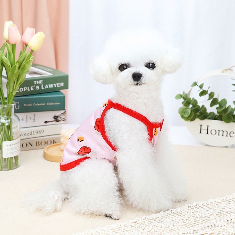 Áo hai dây chú gấu cho thú cưng