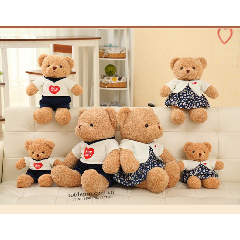 Gấu bông Teddy Hug Me