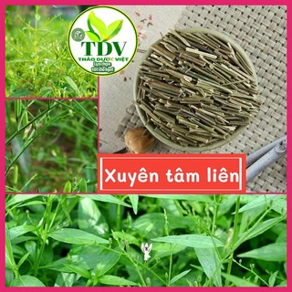 500g Xuyên Tâm Liên khô