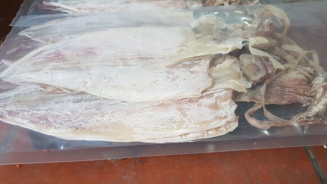 MỰC KHÔ 12 CON 1KG TÚI 500G GIÁ 600K