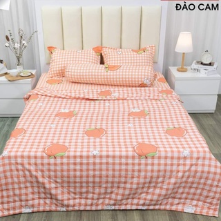 (4 món) chăn hè ga gối polycotton mẫu cây thông