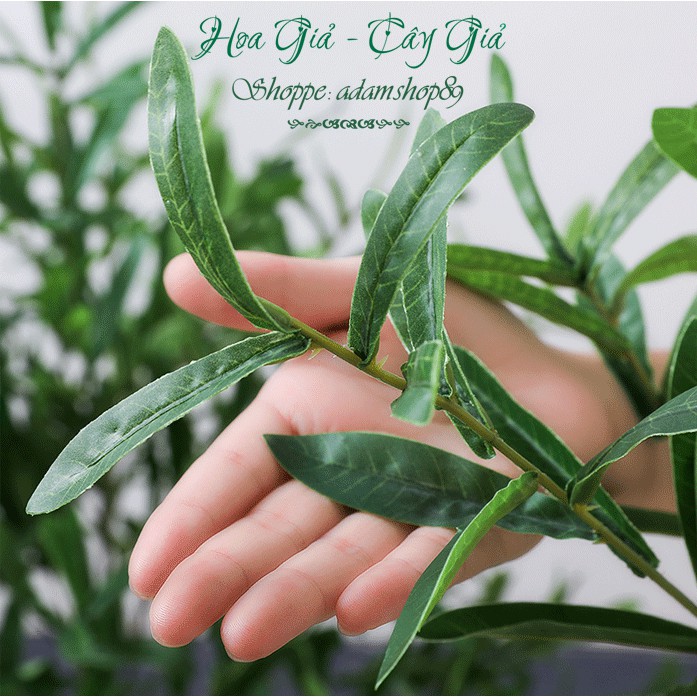 Cây Giả - Cành Lá Ô Lưu to