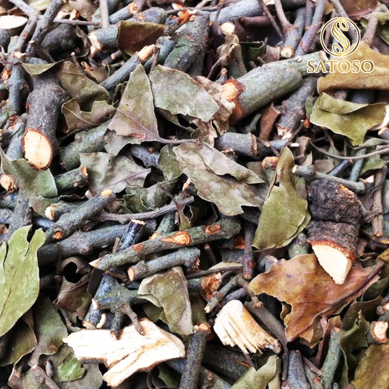 Tầm gửi gạo tốt cho thận, mát gan SATOSO 1kg SA89