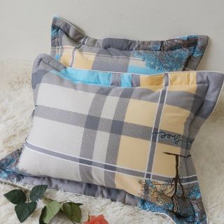 Bộ ga, gối cotton 2m2