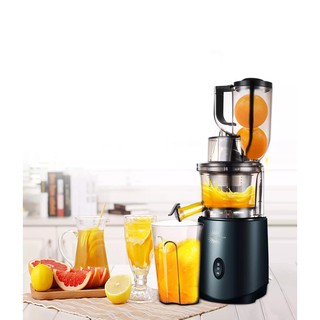 Máy ép chậm hoa quả, trái cây, rau củ Gesun G500, công nghệ ép chậm và tiêu chuẩn của Đức.
