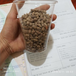 Hạt giống cây lạc dại 100g
