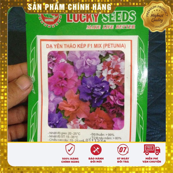 Hạt Giống Hoa Dạ Yến Thảo Kép Mix F1(20-30 hạt)