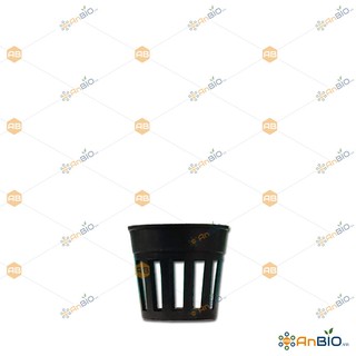 Block 50 cái chậu nhựa trồng lan cây mô, cây lan phi 4 - l2.1003