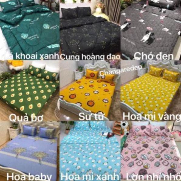 HOTHOT Bộ 1 Ga chun và 2 vỏ gối Cotton poly, chat chọn mẫu.