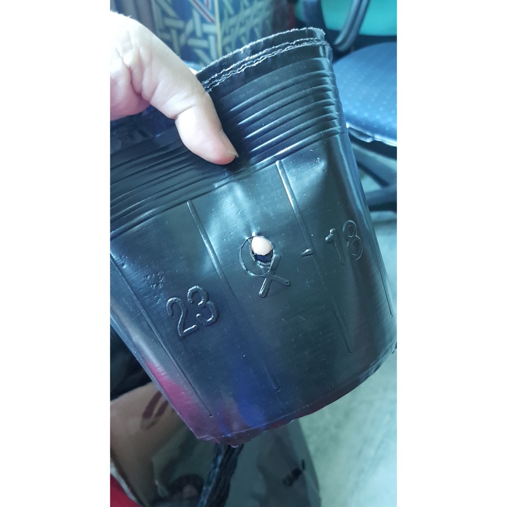 0,1 kg bầu ươm cỡ 22*18