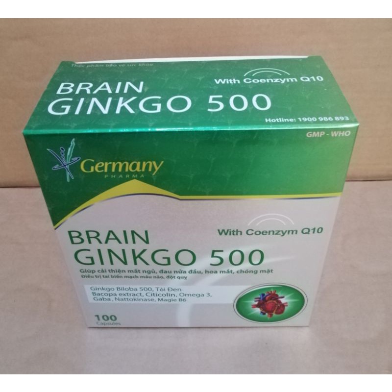 Ginkgo 500 bổ sung dưỡng chất cho não