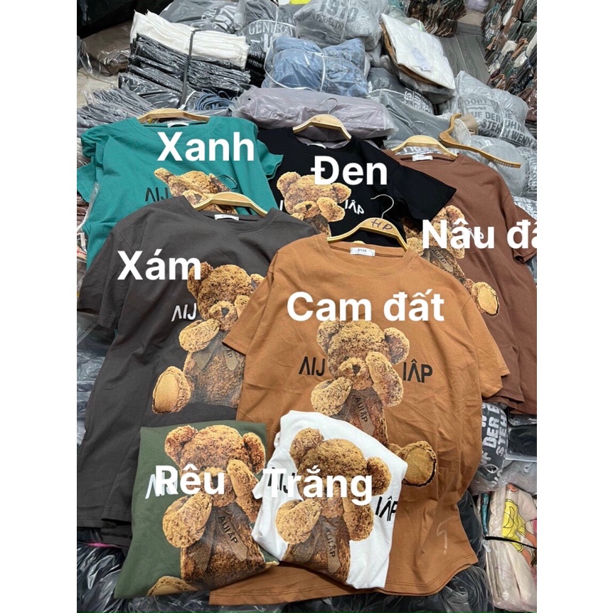 Áo phông gấu dấu quần - Hàng Quảng Châu