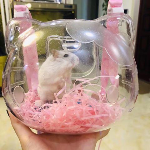 lồng xách tay kitty dành cho haster, đuôi mập