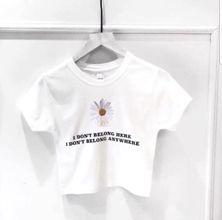 Áo croptop hoa cúc