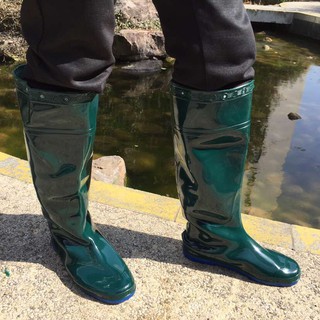 ỦNG CẤY LỘI BÙN NƯỚC