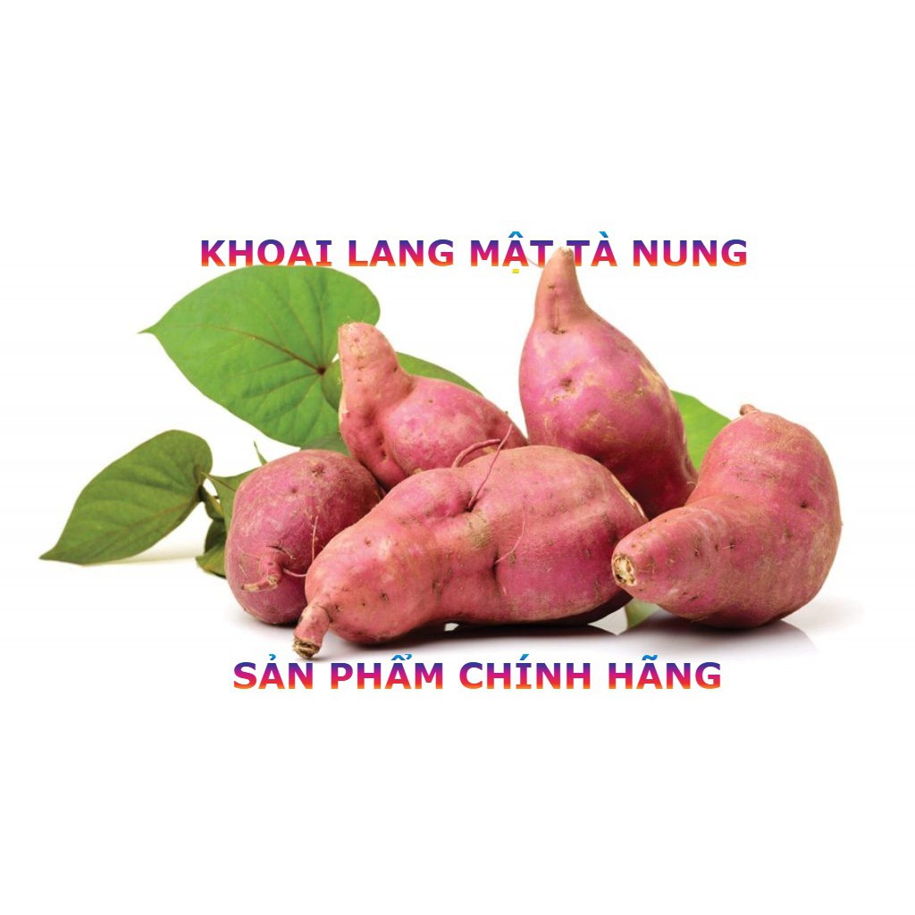 KHOAI LANG NHẬT RUỘT VÀNG THƠM NGON ( 1kg )