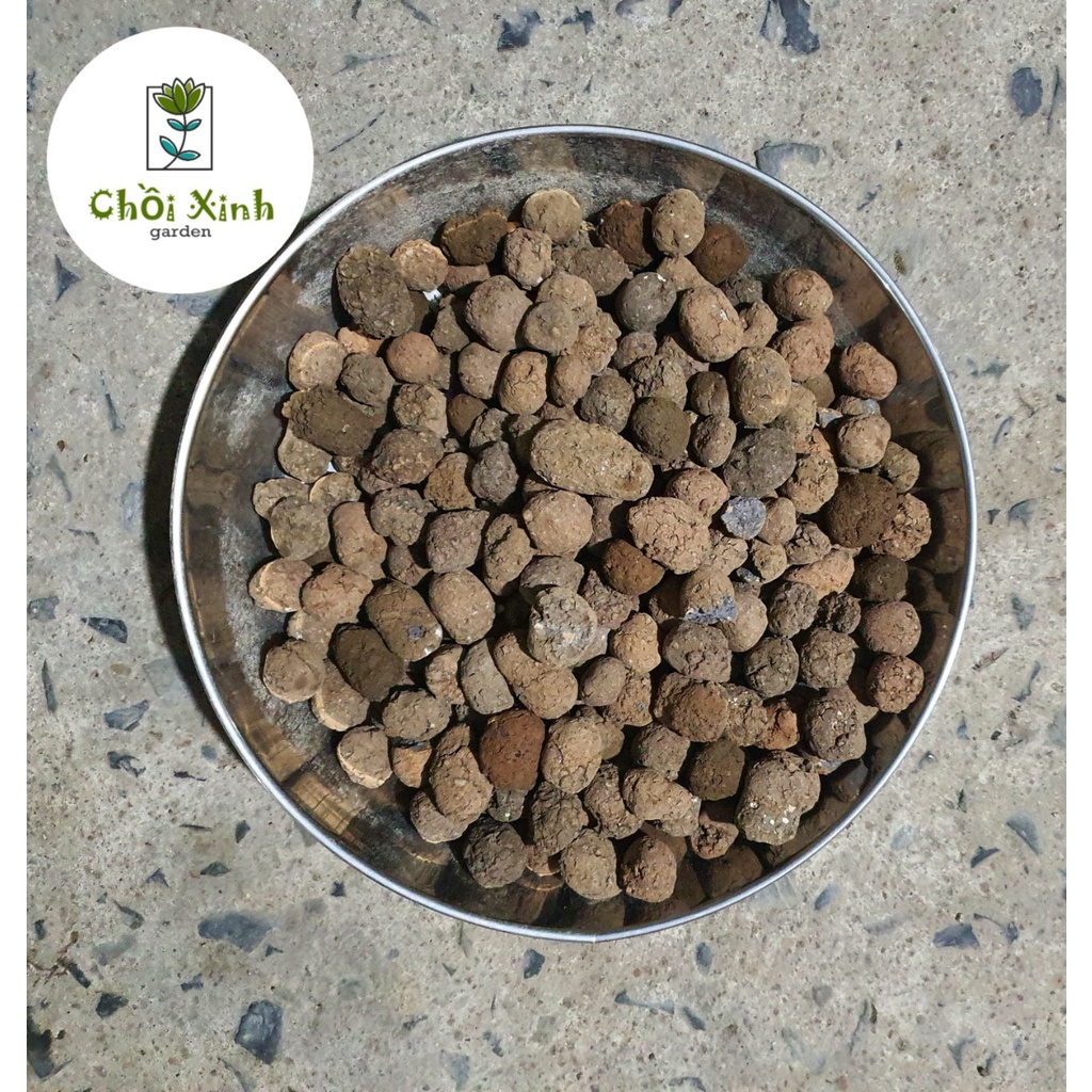 1kg VIÊN ĐẤT NUNG ( SỎI NHẸ ) SFARM