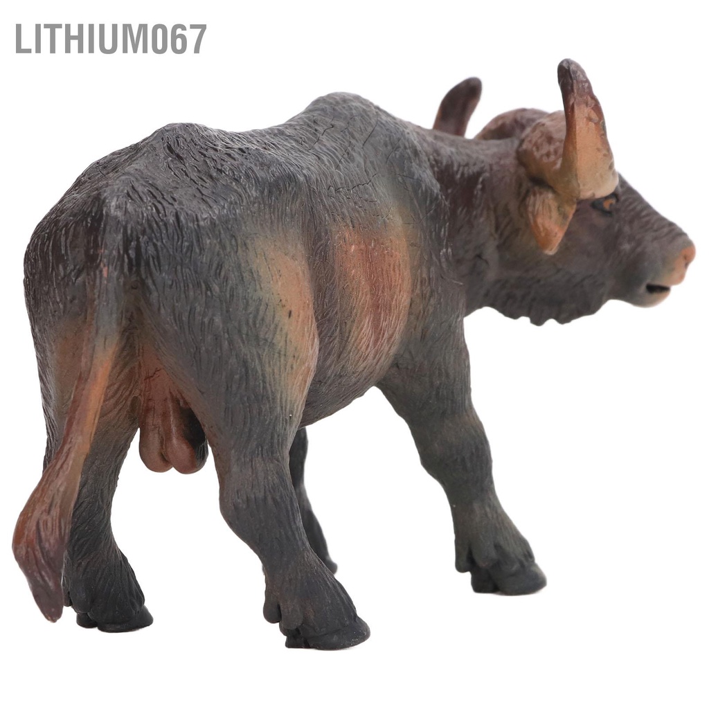 Lithium067 Mô hình con bò sống động như thật Đồ trang trí giáo dục cho trẻ em Quà tặng gia súc chơi vật