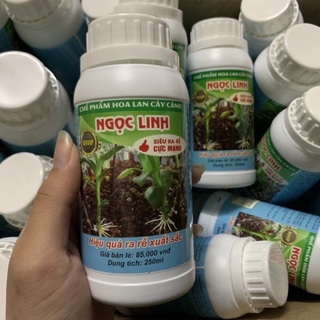 Chế phẩm siêu kích rễ Ngọc Linh - Ngọc Linh kích rễ
