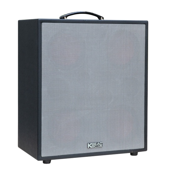 LOA DI ĐỘNG ACNOS KSNET 550