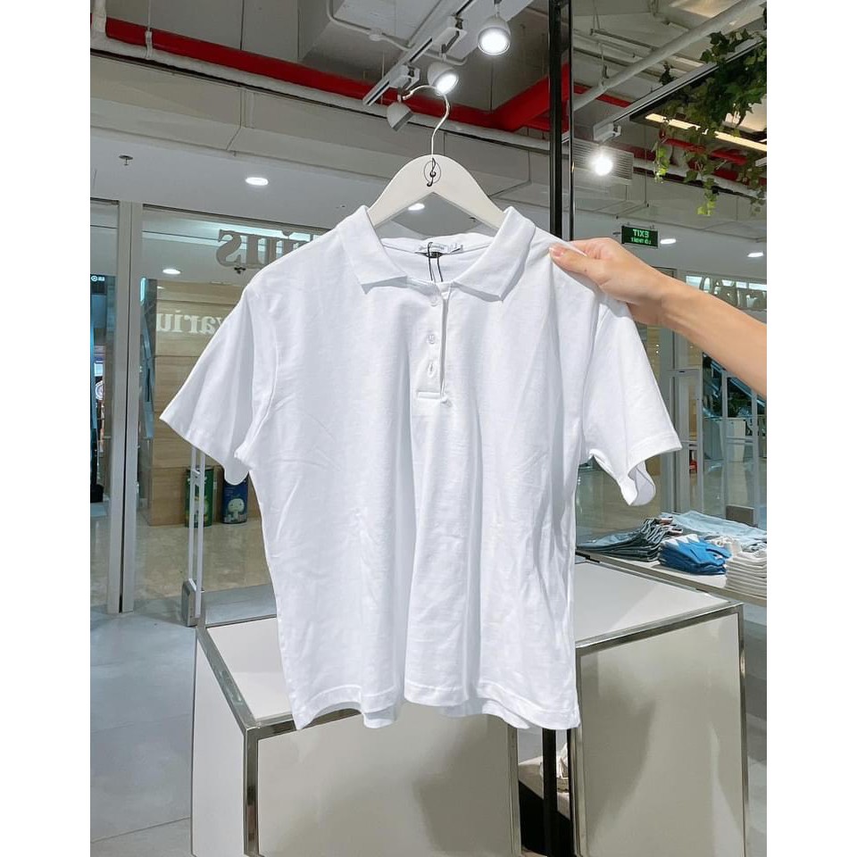 AN13 - ÁO POLO CỔ BẺ ZZ 3 MÀU HOT HIT NỮ | BigBuy360 - bigbuy360.vn