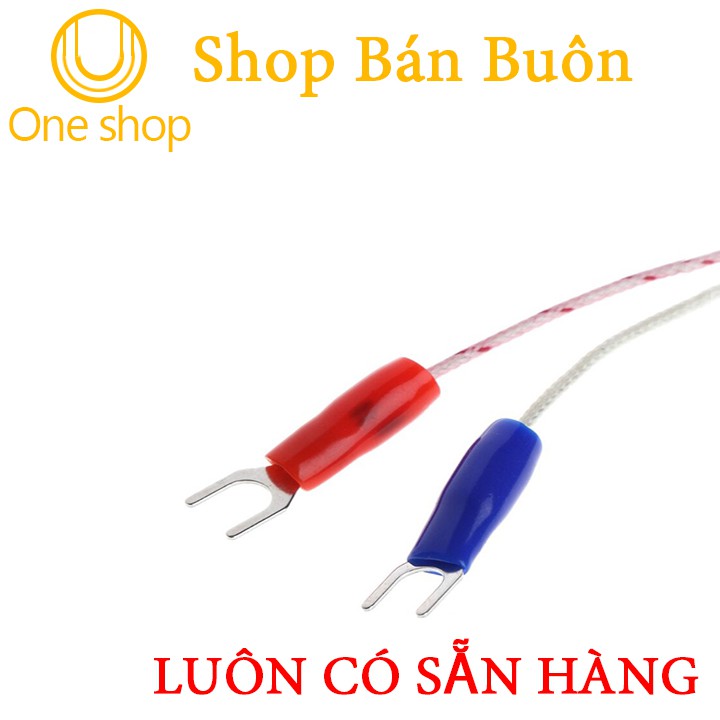 Dây Can Nhiêt WRNT 0-600 Độ C Chiều Dài Đầu Dò 20cm