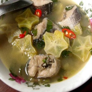 Hạt giống khế chua - 1 gói 5 hạt