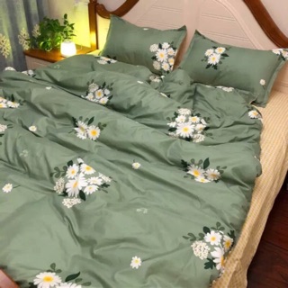 Bộ Drap & Chăn Phao Cotton Poly Cúc Hoạ Mi Mới