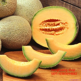 Hạt giống dưa lưới
