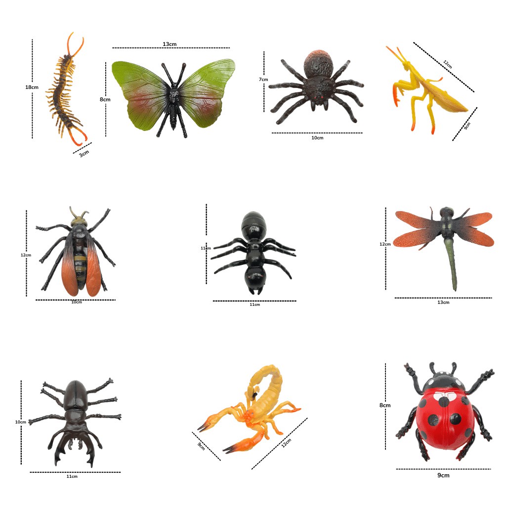 Mô hình thế giới Côn trùng rất đẹp và sắc nét như thật HT7505