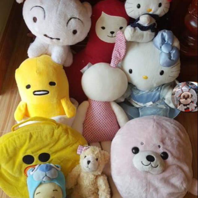 Set gấu