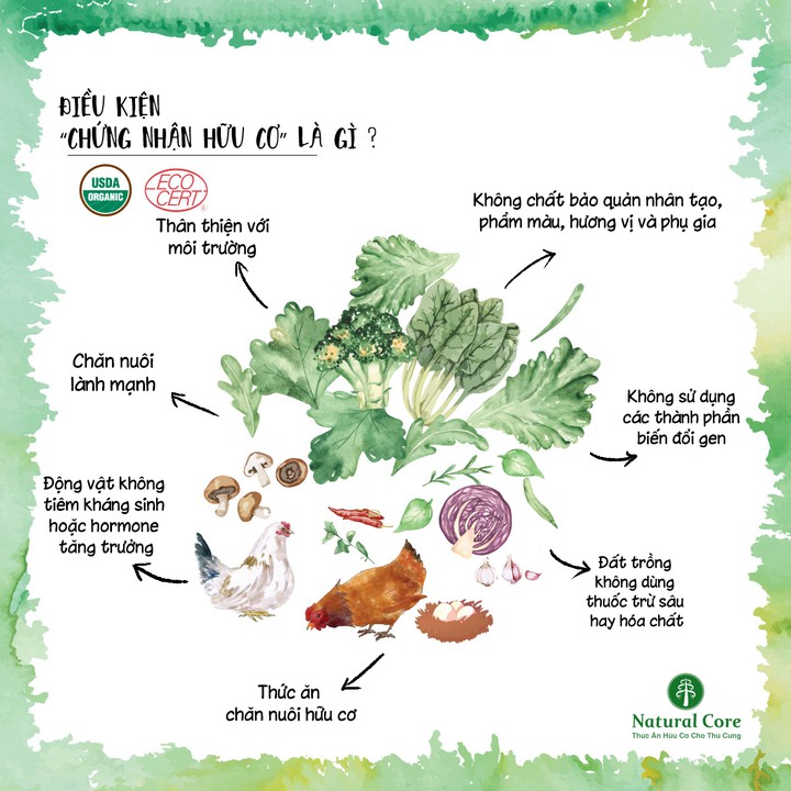 1kgTHỨC ĂN HỮU CƠ NATURAL CORE S1 ĐA ĐẠM CHO CHÓ Ngăn ngừa dị ứng nhờ phương pháp thủy phân độc quyền của Natural