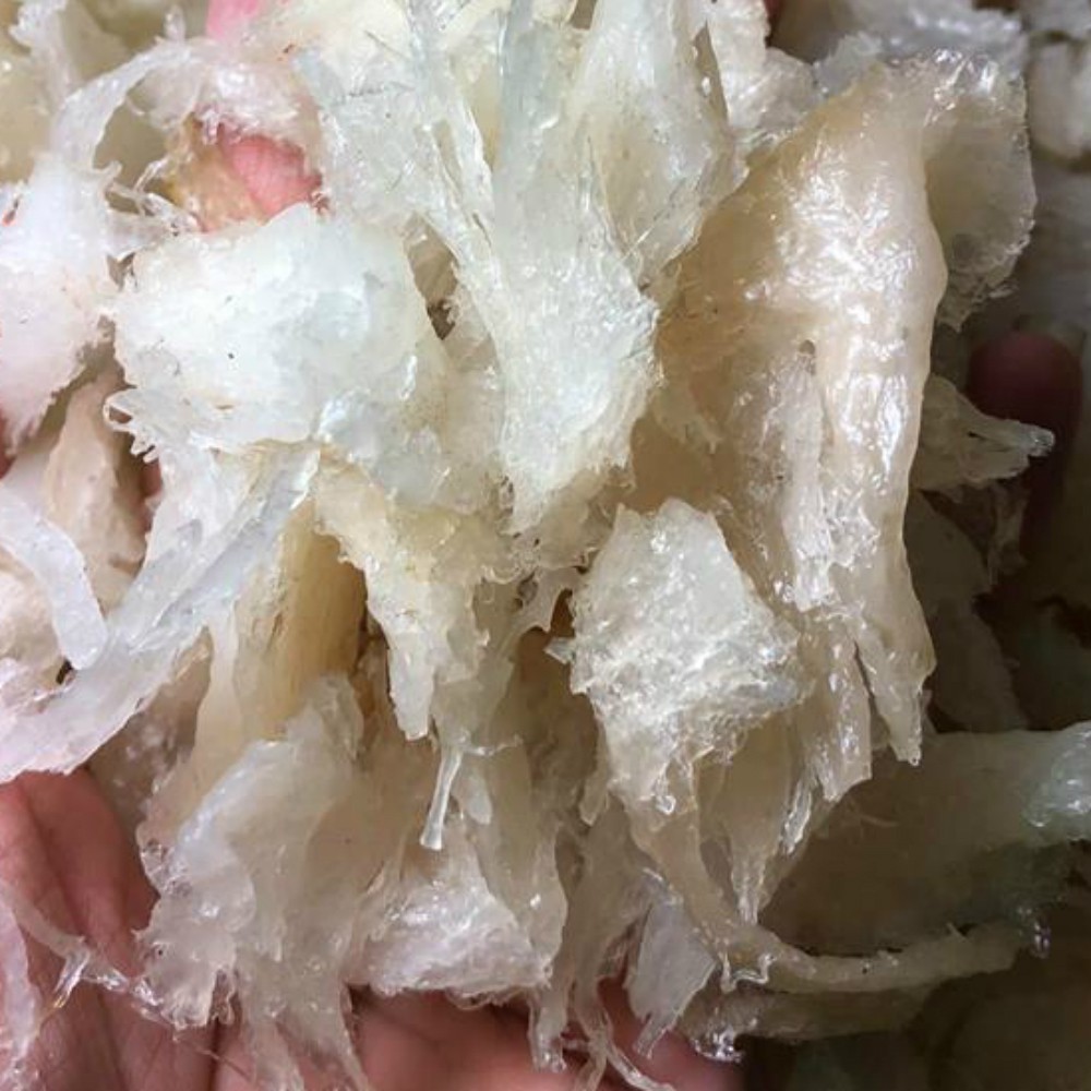 Chân Tổ Yến Đã Làm Sạch Lông Nha Trang - 50g / 100g