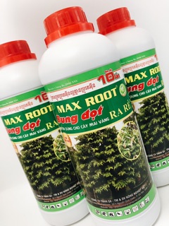 KÍCH RỄ BUNG ĐỌT MAI CỰC MẠNH - 1L