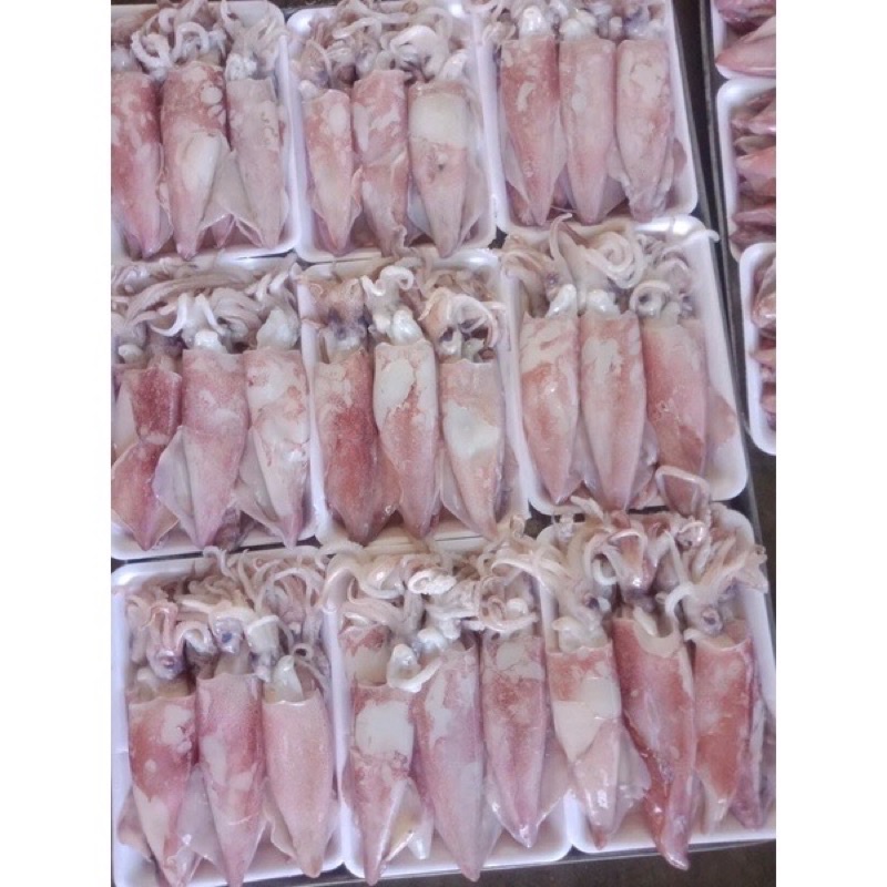 mực ống tươi ngon làm sạch 1kg❤️GIÁ SỈ❤️ giòn ngọt , lẩu nướng