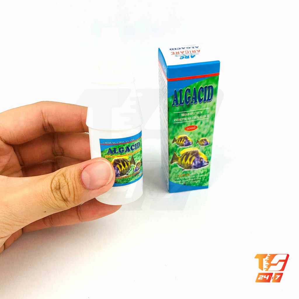 Dung Dịch Diệt Rêu, Tảo ALGACID 30ml - Khử Khuẩn, Rêu Hại Làm Đục Nước Hồ Cá