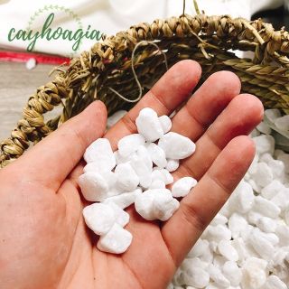 Sỏi trắng trang trí 500gr