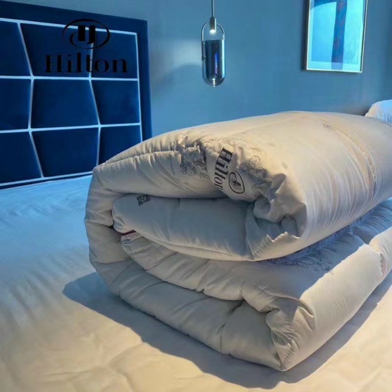 Chăn lông vũ , ruột chăn Hilton hàng cao cấp nhập khẩu size 2m2x2m nặng 3kg