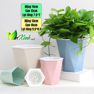 Chậu nhựa thông minh tự tưới tự dưỡng trồng cây phong thủy để bàn trang trí nội thất