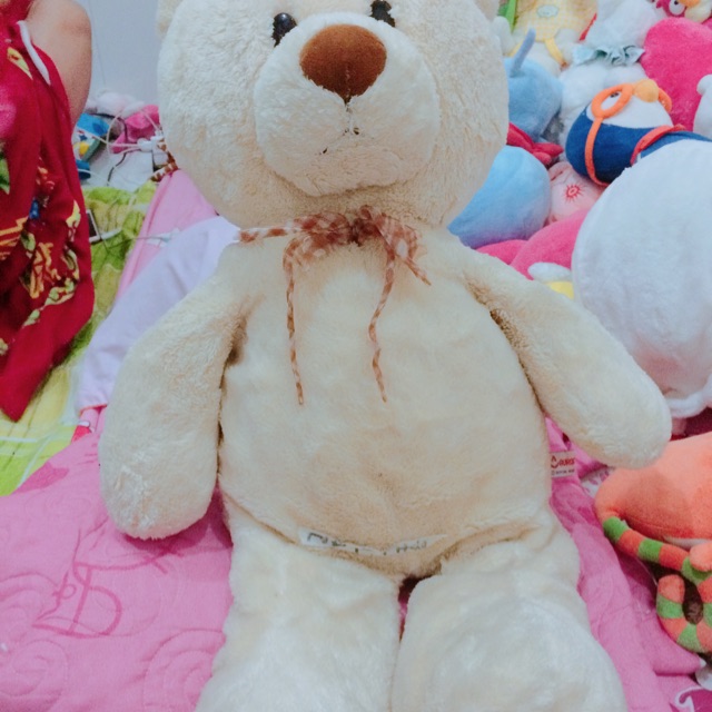 Teddy màu kem
