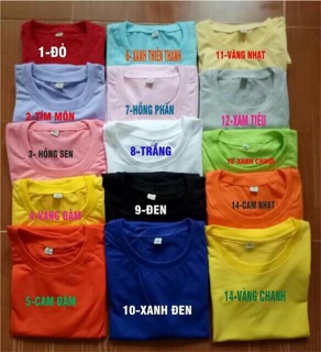 Set áo thun gia đình cây dừa