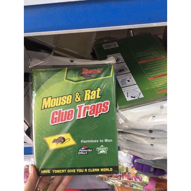 Combo 5 bẫy keo dính chuột