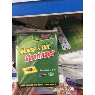 Combo 5 bẫy keo dính chuột