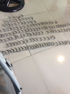 Cựa gà nòi 58 bọc đồng